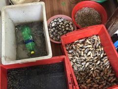 -大树下饭店(春晓镇慈岙社区卫生服务站南)