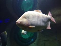 -亚龙湾海底世界