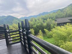 -大唐贡茶院
