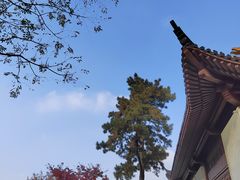 -黄鹤楼
