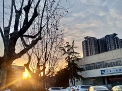 -西南交通大学(九里校区)