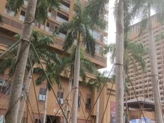 -三亚湾红树林度假世界(木棉酒店)