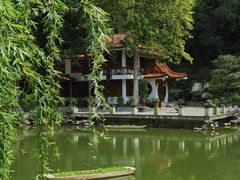 -深圳仙湖植物园
