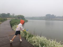 -东郊湿地公园