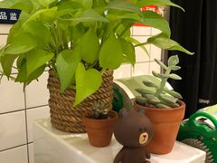 -恋暖初茶(万菱汇店)