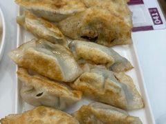 韭菜猪肉煎饺-东方饺子王(新奥购物中心店)