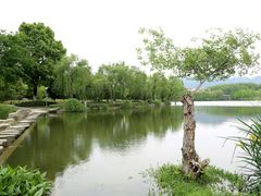 -浙江农林大学(东湖校区)