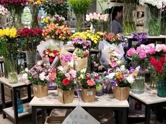 鲜花区-七鲜超市(万向城店)