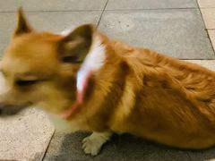 -诺贝尔一诺口腔医院(雁塔院区)
