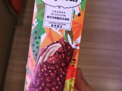 橙花风味脆皮条冰淇淋-哈根达斯(武汉天地店)