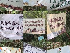 -广州白江湖森林公园