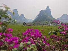 -明仕田园