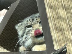 -青藏高原野生动物园