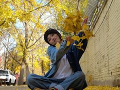-三里屯东五街银杏大道