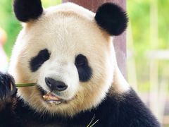 -杭州野生动物世界