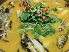 酱椒黄骨鱼-湖南人家·家传湖南菜(水围店)
