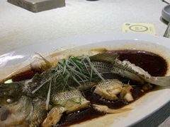 -稍可轩博物馆餐厅