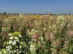 -中国天府农业博览园