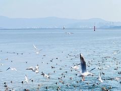 -深圳湾公园(南山区)