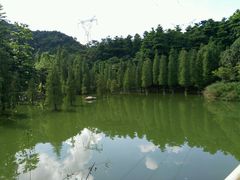 -广州市帽峰山景区
