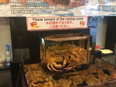 -蟹道乐(道顿堀本店)