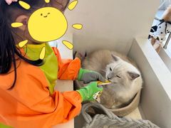 -怪兽屋·羊驼·猫咖·狗咖(俊华广场店)