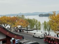 -楼外楼(西湖景区孤山路店)