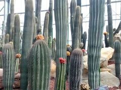 -南通洲际绿博园