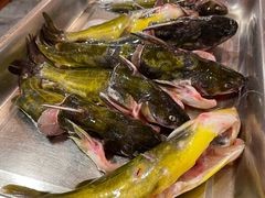 -荣德灶台鱼(圣泉寺店)