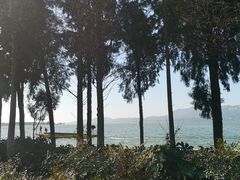 -五甲塘生态湿地公园