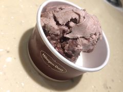 -哈根达斯(石家庄北国店)