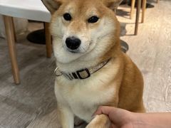 -小时光咖啡馆(北锣鼓巷店)