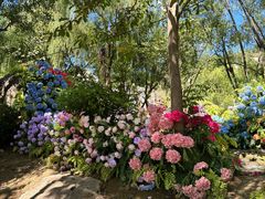 -沂蒙云瀑洞天景区