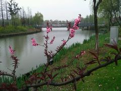-尚贤河湿地