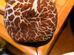 -蔡家酒楼(一德街店)