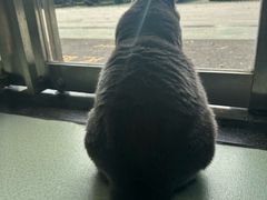 -美美宠物诊疗中心·异宠·骨科(滨江东信分院)