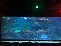 -暹罗海洋世界