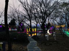 -枫花园汽车电影院(朝阳公园店)