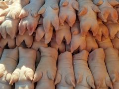 -蒲河大集