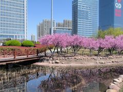 -唐岛湾公园
