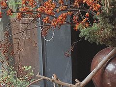 -物心空间