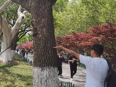 -中国茶叶博物馆(双峰馆区)