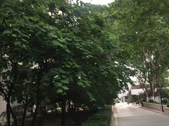 -山东大学(千佛山校区)