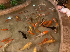 -北上海大酒店-北鸥西餐厅