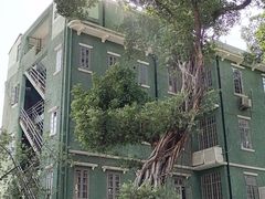 -珠江夜游西堤码头