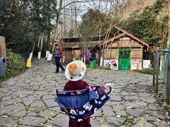 -都江堰中华大熊猫苑