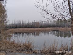 -东郊湿地公园