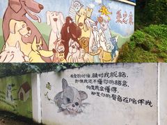 -成都爱之家动物救助中心