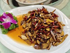 -山菌美食苑(振兴路店)