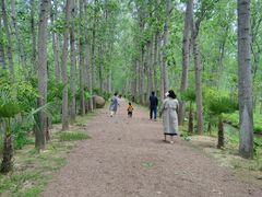 -合肥滨湖国家森林公园